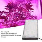 200w LED Grow Light Indoor Full Spectrum Grow Light Greenhouse Waterproof Green
