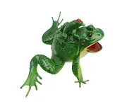 Mini Plastic Realistic Frog Toy Animals Frog Figure Toy Bath Toy For Baby