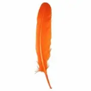 Goose Pointer Feathers 10 grams - Orange