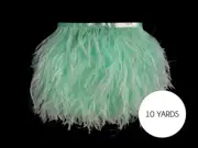 10 Yards - Mint Green Ostrich Fringe Trim Wholesale Feather Prom Dress Wedding