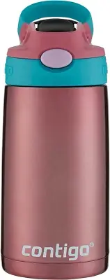 Aubrey Kids Stainless Steel Water Bottle with Spill-Proof Lid, Cleanable 13Oz Ki