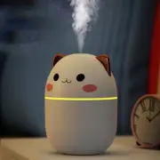 Portable 200ml Air Humidifier Cute Kawaii Aroma Diffuser With Night Light Cool M