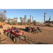 Save 9.99%! Half Day Marrakech Palm groves Quad Bike