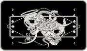 MIXDING Gothic Skull Skeleton Entrance Door Mat 17x30 Inch Doormats Decor, Gothic Goth Art Home Front Door Porch Outdoor Indoor Decorations