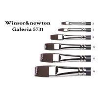 在飛比找蝦皮購物優惠-WINSOR&NEWTON Galeria WN5731 溫