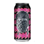 Moon Dog Magnificent Mullet Series: David Boysenbowie Sour Ale