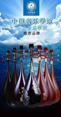可打統編 北京星海8901琵琶樂器成人硬木琵琶8911R初學練習琴入門兒童琵琶