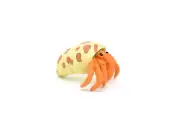 Hermit Crab Toy Animal, Realistic Plastic Replica Model, 2" CWG236 B306