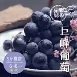 【禾鴻】彰化溪湖溫室巨峰葡萄5斤X1盒(6-8串/盒)