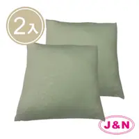 在飛比找鮮拾優惠-【J&N】防蚊壓花抱枕60*60綠色(2 入/1組)