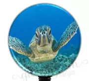 Sea Turtle Retractable Badge Holder, Underwater Badge Clip, Turtle ID GG2013