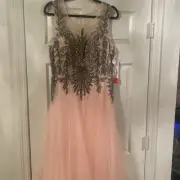 NWT $300.00 Dave & Johnny Dave Pink Style 3319 Beaded Embroidered Tulle Gown 16