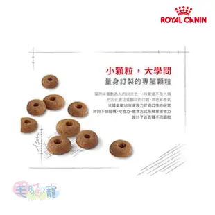 【法國皇家Royal Canin】理想體重三圍成貓專用乾糧 F32 10KG/15KG 毛貓寵