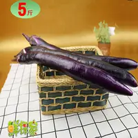 在飛比找PChome24h購物優惠-鮮採家 台灣鮮嫩長條紫茄子5台斤