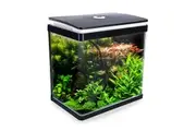 Aquarium Curved Glass RGB LED Fish Tank Set Filter Pump 30L