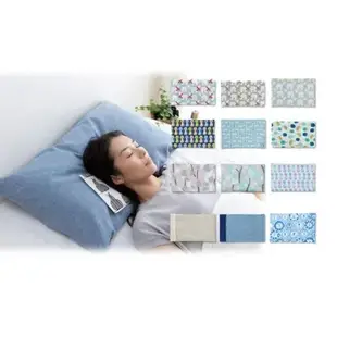 【168JAPAN】日本製 北極 涼感枕 TEERMO Lab 17.5x29cm 冷凝膠墊 涼感墊 枕頭 涼感枕頭