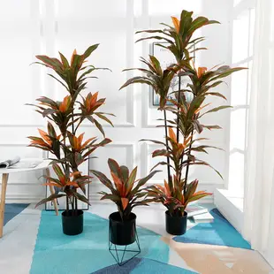 北歐ins風仿真大型植物紅鐵樹假綠植落地家居客廳裝飾室內小擺件