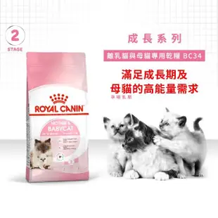 【ROYAL 法國皇家】離乳貓專用飼料 BC34 2KG(貓乾糧)