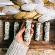 White Sage Smudge Sticks (10-11cm)- THIN- 5pk
