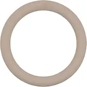 Generic Weight, Fitness Weight Circle, 5lb for Exercises, Home Fitness,