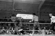 Wilfredo Gomez Knocks Down Derrik Holmes 1980 Old Boxing Photo