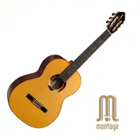 在飛比找蝦皮商城精選優惠-Montoya MP-10S 面單板 39吋 古典吉他【黃石