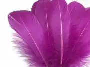 1 Pack - Magenta Goose Nagoire Loose Feather - 0.25 Oz. Craft Supplier Halloween