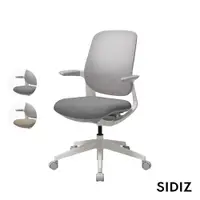 在飛比找PChome24h購物優惠-【SIDIZ】T25 人體工學椅 網背款