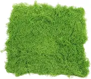 BESPORTBLE Artificial Moss Mat Realistic Turf Grass Pad for Garden Decor Faux Moss for Bonsai Fish Tanks Fairy Gardens and Terrariums Durable Design