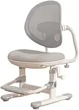 Mesh Kids Desk Chair Ergonomic Kids Desk Chair,Child's Children Student Study Office Computer Chair with Adjustable Height and Lumbar Support(Gray)