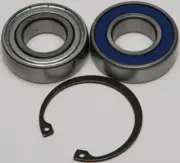 All Balls Racing Track and/or Jack Shaft Bearing and Seal Kit 14-1069