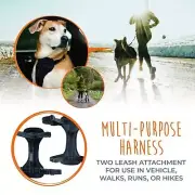 Dog Safety Harness with Adjustable Straps and Soft Padding-Medium 14-20”