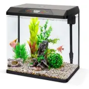 JumblPets Starter Fish Aquarium Kit, Beginner Glass Fish Tank Kit (4 Gallon)