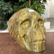 A++34.7LB Large Natural Tiger’s eye Jasper Hand Carved Quartz Crystal Skull heal