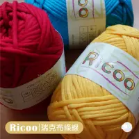 在飛比找蝦皮購物優惠-【大嘴鳥】RICCO 瑞克布條線 包芯線 100g 編織線材