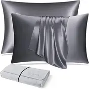 DISANGNI 100% Natural Mulberry Silk Pillow case for Hair and Skin with Hidden Zipper 22 Momme Both Sides Real Silk Pillow Case (2pc Standard Size 20" x26", Dark Gray)