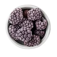 在飛比找蝦皮商城優惠-【天時莓果】超級好水果の智利冷凍黑莓 1000g/包
