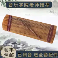 在飛比找蝦皮商城精選優惠-小古箏便攜式小型初學者兒童成人入門迷你短箏專業14弦嫣然古箏