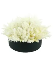 Creative Displays White Pampas Floral Arrangement