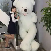 100-260cm Cheap Giant Unstuffed Empty Teddy Bear Skin Coat Soft Big Skin Shell Semi-Finished Plush Boys Classic Kids Doll Gift 200cm Bearskin shell...