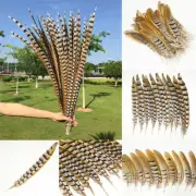 New 130-180CM/52-72inch Natural Rare Pheasant Tail Feathers for Carnival Diy