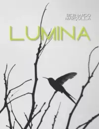 在飛比找博客來優惠-Lumina