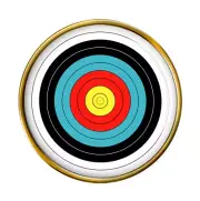 Archery Target Pin Badge