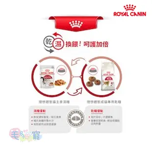 【法國皇家Royal Canin】理想體重三圍成貓專用乾糧 F32 10KG/15KG 毛貓寵