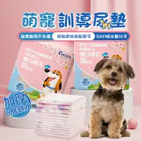 在飛比找蝦皮商城精選優惠-【台灣出貨】狗尿墊 尿布墊 寵物尿布 尿布 寵物尿布墊 寵物