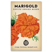 The Little Veggie Patch Co Marigold Seeds