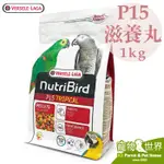 期限2025.08《寵物鳥世界》凡賽爾VERSELE-LAGA歐樂斯NUTRIBIRD P15滋養丸1KG BS016