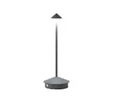Anyhouz Hotel Lightning Lamp Silver Type C Rechargeable Table Lamp Creative Dining Touch Led Decorative Lamp