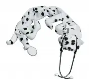 Dalmation Stethoscope Cover