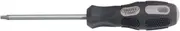 Draper Expert 40050 T10 x 75 mm Draper Tx-Star Driver